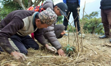 Sustainable Agrology through Agro Forest in Mountain Areas of Nepal (SAAF MAN)